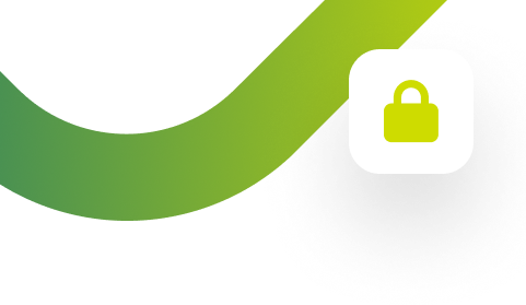 Professional IT Services