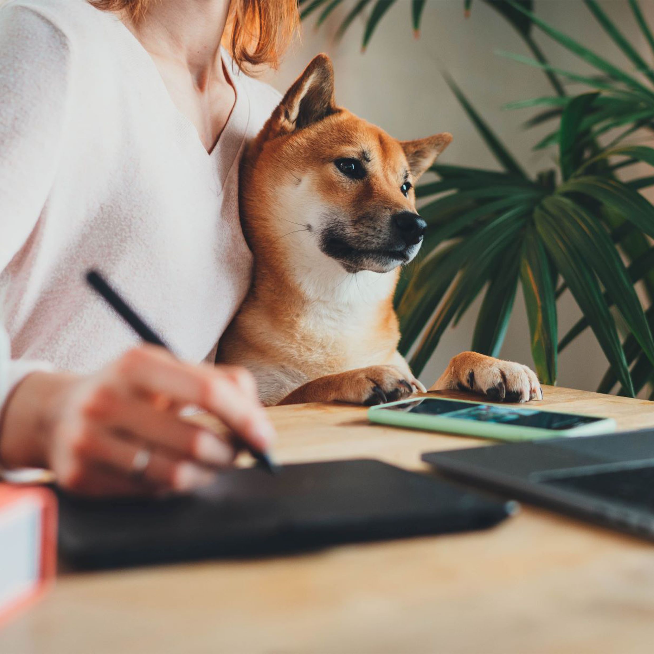 The Benefits of Hosted Desktops for the Remote Workforce